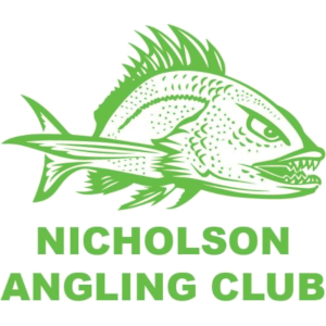 logo-nicholson@2x